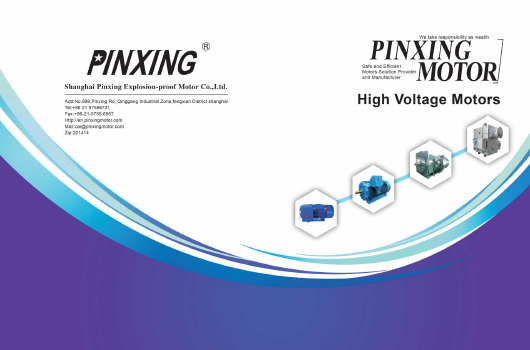 Shanghai Pinxing Räjähdyksenkestävä Motor Co., Ltd.